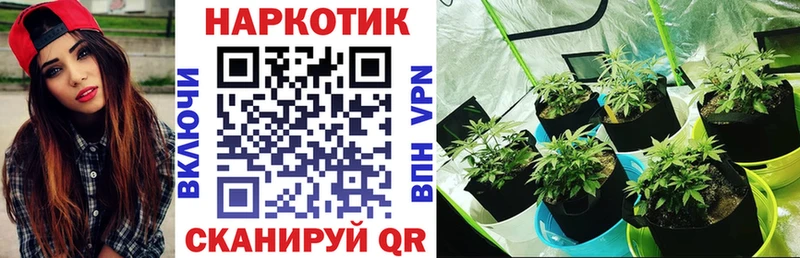 Где купить наркоту Таруса COCAIN  МЕФ  Гашиш  A-PVP  Галлюциногенные грибы  МДМА  АМФЕТАМИН  Марихуана 