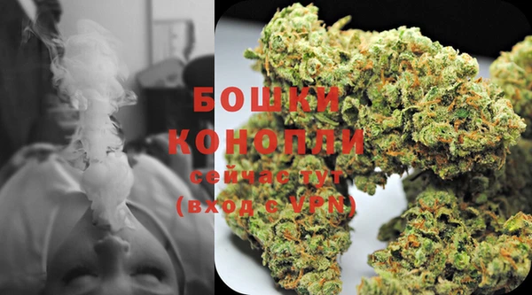 ГАЛЛЮЦИНОГЕННЫЕ ГРИБЫ Баксан