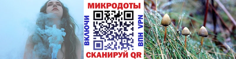 Псилоцибиновые грибы Magic Shrooms  Таруса 